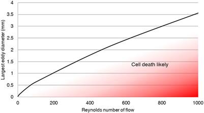 Analytical and computational studies predict negligible risk of cell death from eddy generation off flat surfaces in cell culture flow systems